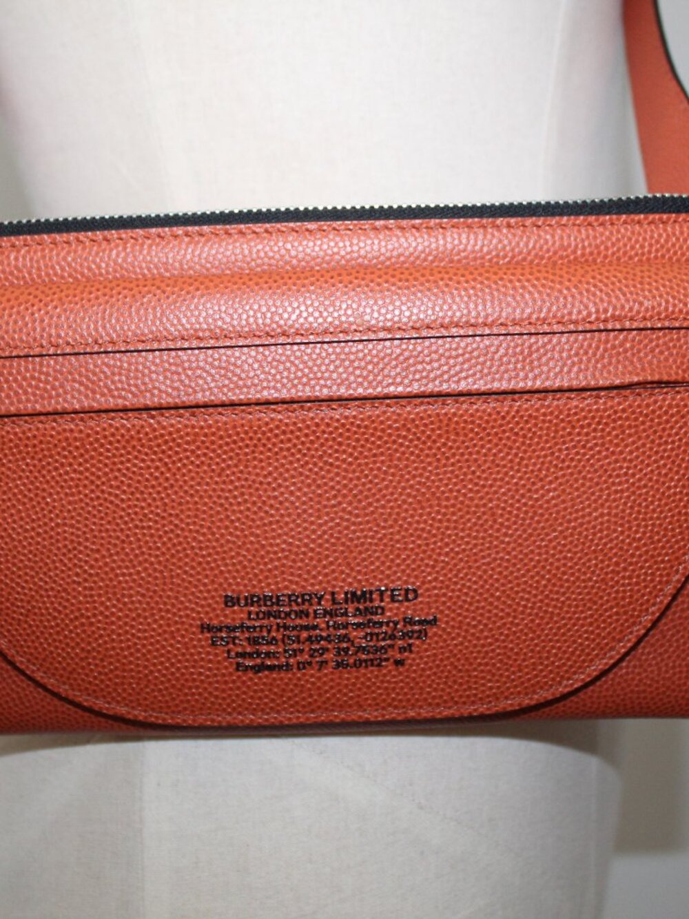 NWT Burberry Olympia Leather Belt Bag Bum Pak Sling Shoulder Bag Pouch Adjustabl - Picture 3 of 15